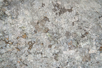 Background of stone wall texture abstract for design