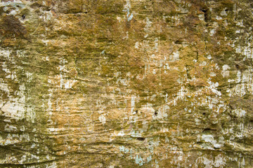 Background of stone wall texture abstract for design