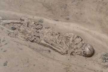 burial skeleton human bones from ancient grave