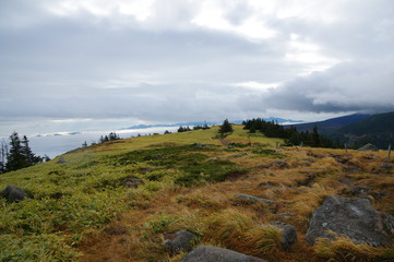 双子山山頂