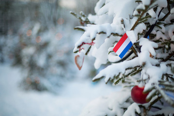 Netherlands flag. Christmas background outdoor. Christmas tree covered with snow and decorations and Netherlands flag.  New Year / Christmas holiday greeting card.