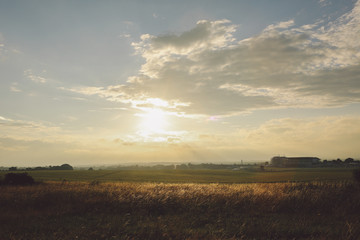 Fototapeta premium Summer