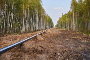 Laying of a gas pipe in the deep forest