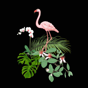 A composition of tropical plants, palm leaves