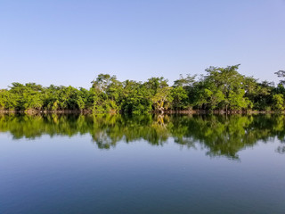 Fototapeta na wymiar Shoreline Reflecting in the River
