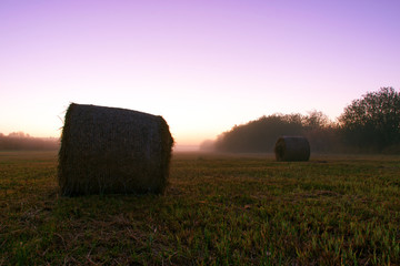 bales of hay at sunrise on a foggy field