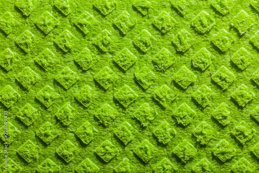 Wall mural New green kitchen dishcloth texture