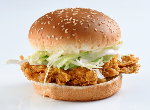 Chicken Zinger Burger, Crispy Chicken Fillet with fresh and soft round thick bread