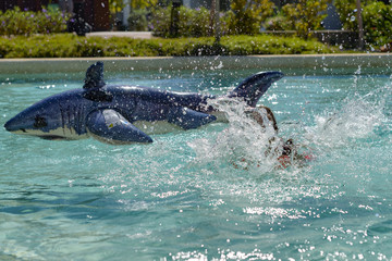 Fototapeta premium girl swimming and falling down in the pool from an inflatable shark