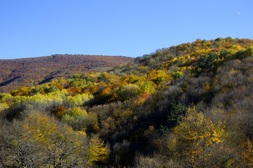 Autumn landscape. Mountains in the fall with yellow-red trees. Mountain forest in the fall. 