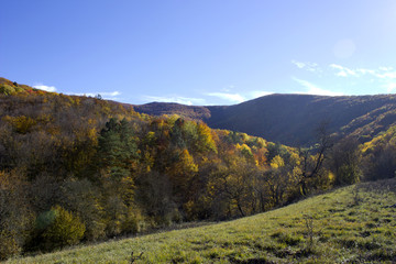 Autumn landscape. Mountains in the fall with yellow-red trees. Mountain forest in the fall. 