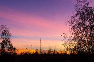 Bright colorful sunset over power line and trees.