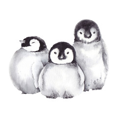 Cute baby penguin family. Watercolor illustration on white background.