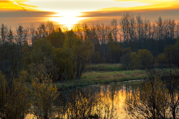 Sunrise by the forest river in late autumn