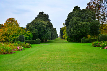 British public garden and park. Kew gardens in London. Green field.