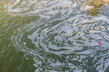 Schieren auf der Wasseroberfläche