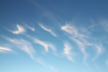 Naklejka na ściany i meble Cirrus clouds on a clear blue sky. Weather forecast. Water in a gaseous state in nature. The atmosphere of the earth. The effect of humidity on agricultural production. The symbol of freedom