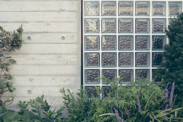 ガラスブロックとコンクリートの壁面と植物