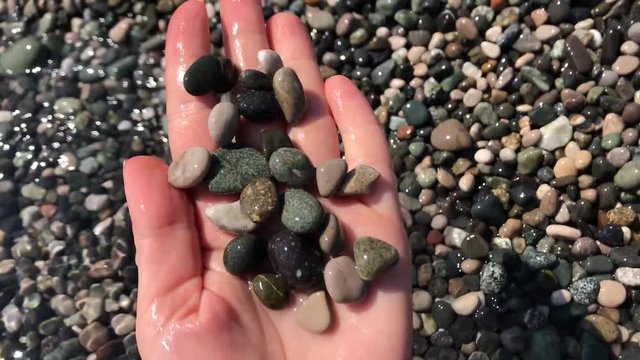Girl's hand holding shells and pebbles on shore of beatch Black sea. Woman pick up stones takes from bottom shingle at shore. Hands collecting, picking up, showing pebbles gems, summer ocean Abkhazia.