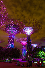 Park Gardens by the Bay - Singapore