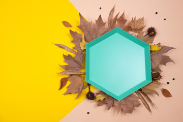 Creative Autumn layout. Green hexagonal tray on dried leaves, chestnuts and other elements on yellow and ocher background. Flat lay top view. Copy space.