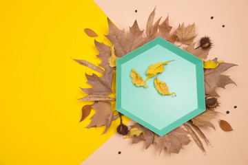 Creative Autumn layout. Green hexagonal tray on dried leaves, chestnuts and other elements on yellow and ocher background. Flat lay top view. Copy space.