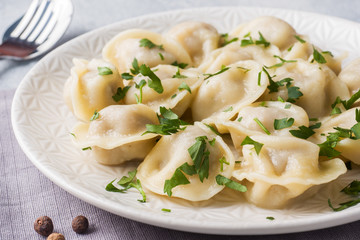 Traditional pelmeni, ravioli, dumplings filled with meat on plate, russian kitchen