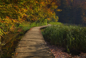Autumn fairytale in the national park.