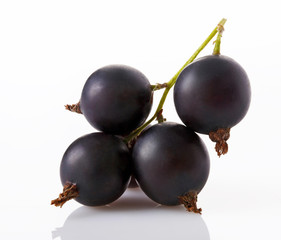 set of currant berries on a twig isolated on white background