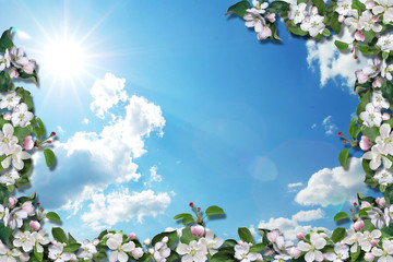 3d background, Branch blossoming apple-tree on blue sky background. 