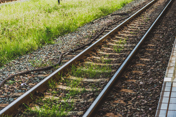 Fototapeta premium railroad tracks