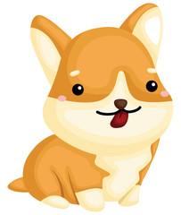 a really happy pure breed corgi dog 
