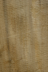 Wooden texture. Close-up, Background