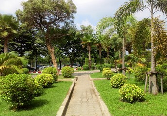 Beautiful view of the big trees in the shady park and the clear sky.