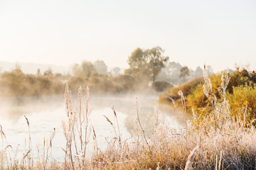 Misty autumn morning on the river. Grass in the meadow covered with hoarfrost. The first autumn...