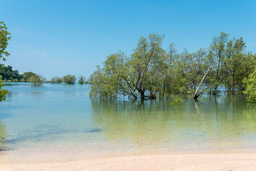 The Ao Khao Kwai beach with Mangroves while high tide on the island Ko Phayam in Thailand