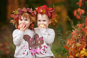  Little girls playing with apples. Toddler eating fruits at fall harvest. Healthy nutrition.  Autumn activities for children. Halloween and Thanksgiving time fun for family.