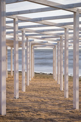 wooden rows and columns on the beach