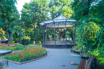 Odessa, Ukraine. Walk in the park. August 12, 2018. 7 am.