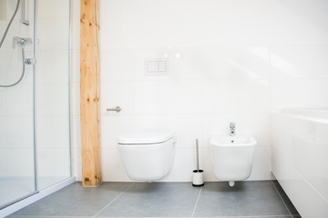 Fototapeta na wymiar White modern toilet and bidet