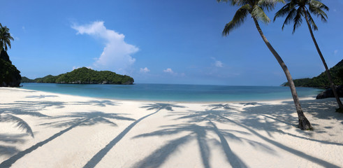 Panorama of the tropical beach with coconut shadow on the white sand