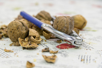 Delicious nuts with the tool to open them. They are healthy and very beneficial for the human organism