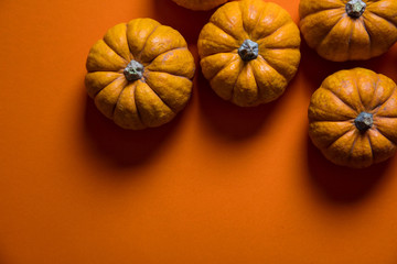 Small pumpkins on a bright orange backdrop. Halloween and thanksgiving background