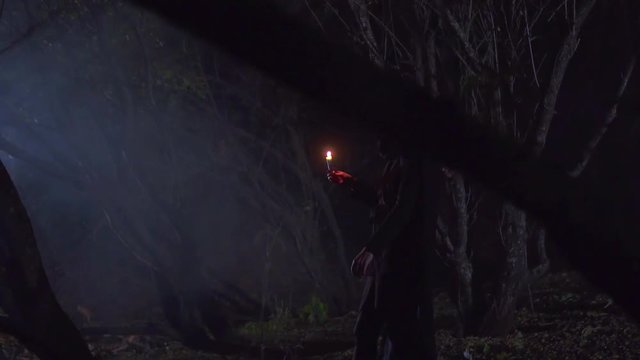 mystical girl with a candle walking in the dark forest, slow mo