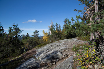 Fototapeta na wymiar Landscape on the Koli, hiking trail
