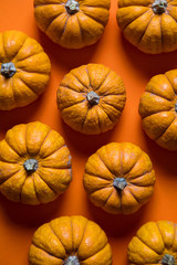 Small pumpkins on a bright orange backdrop. Halloween and thanksgiving background