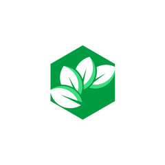 green leaf nature vector logo template design