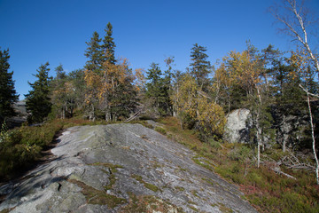Fototapeta na wymiar Autumn landscape on the Koli, hiking trail
