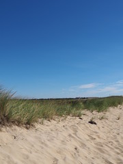 Dünen am South Beach, Massachusetts