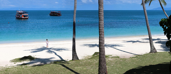Panorama of the tropical beach with coconut shadow on the white sand